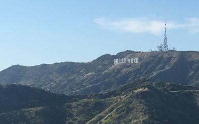 Johnny Depp trial, verdict so far… Be Better Hollywood